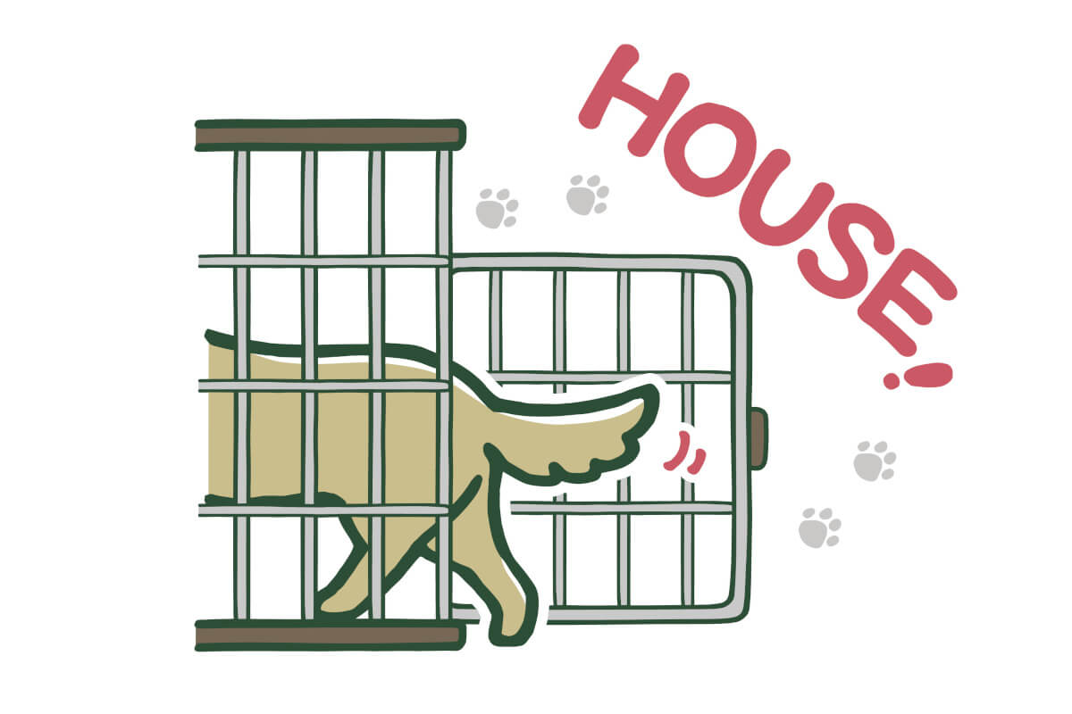 快適に過ごせるケージを選ぶポイント