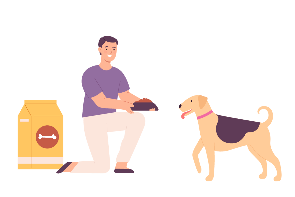 ドッグフードの種類と選び方