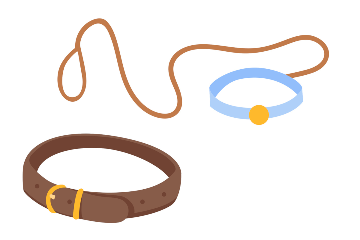 ワンちゃんの体にフィットする首輪＆ハーネス選び