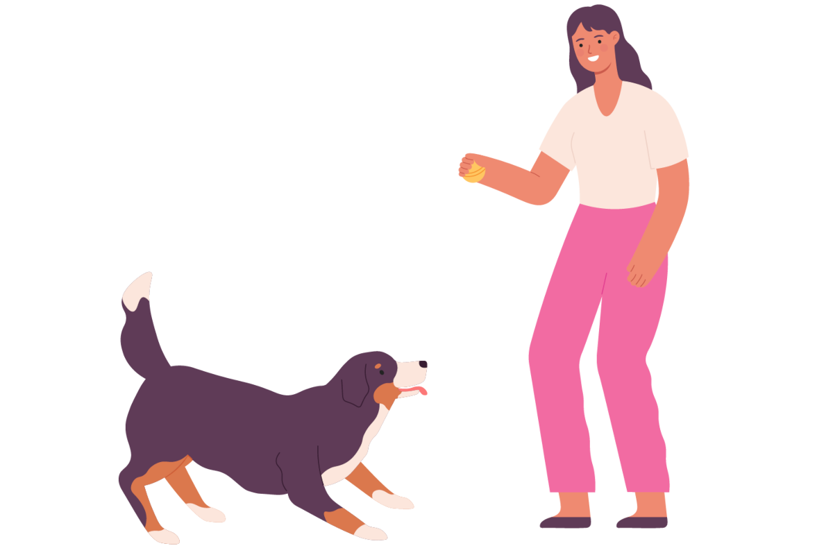 甘噛みが止まらない時の対処テクニック