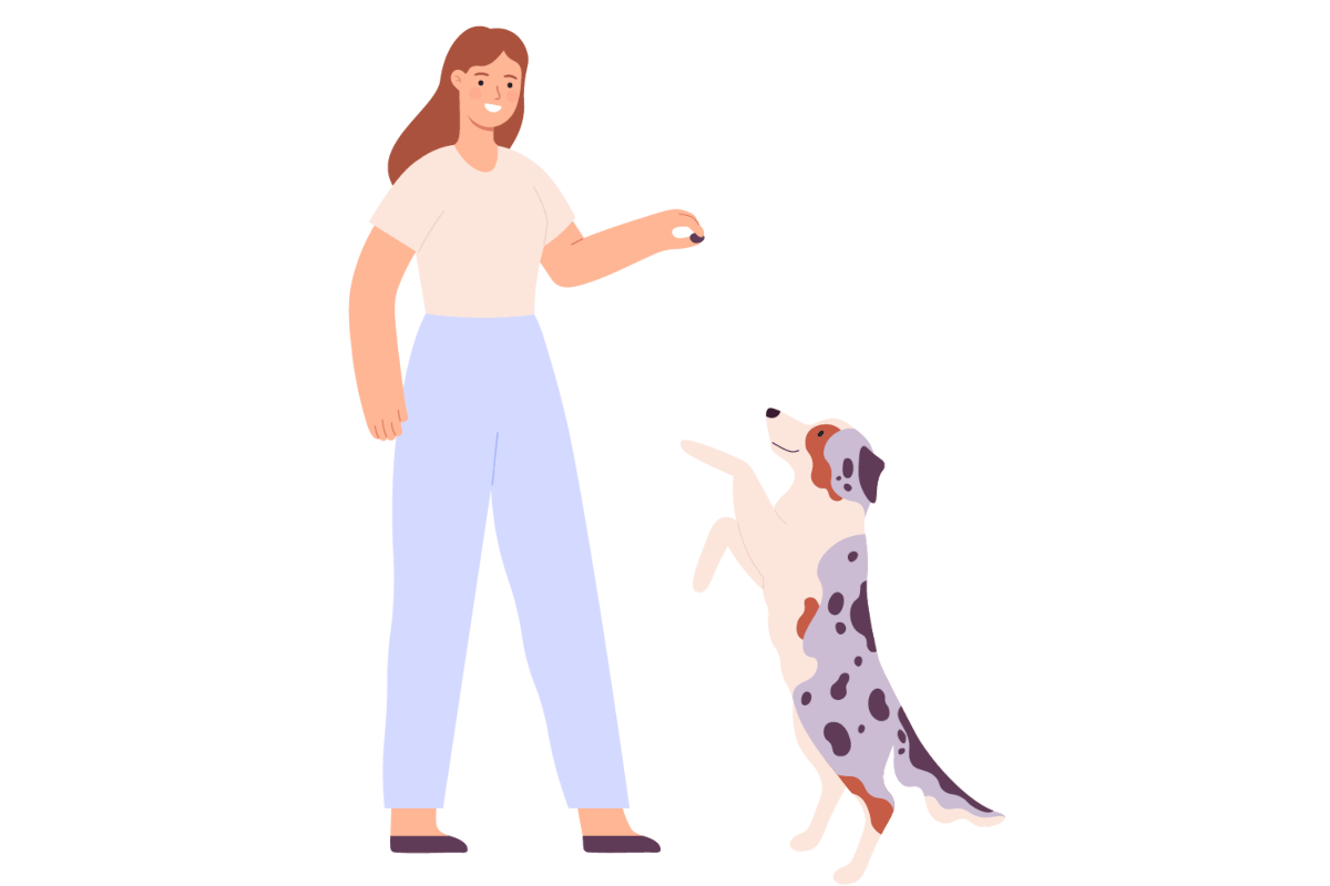 正しい褒め方のポイント