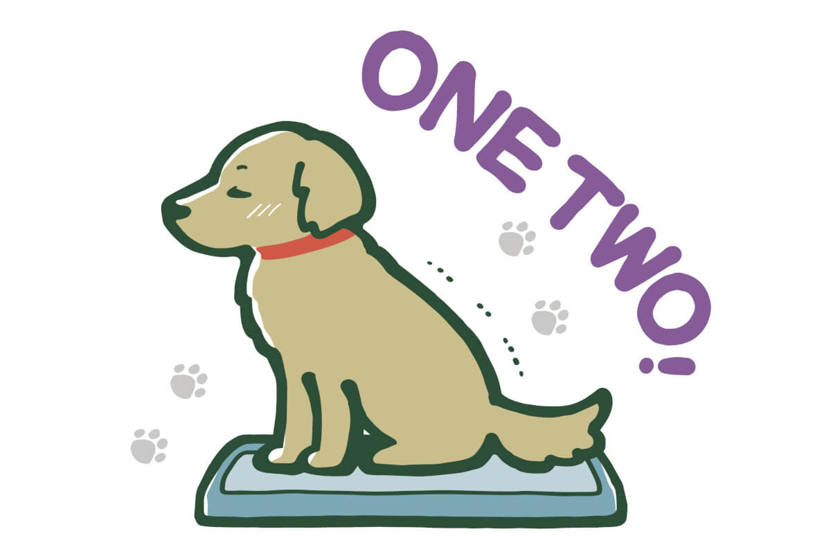 ストレスフリーでトイレを成功させる方法