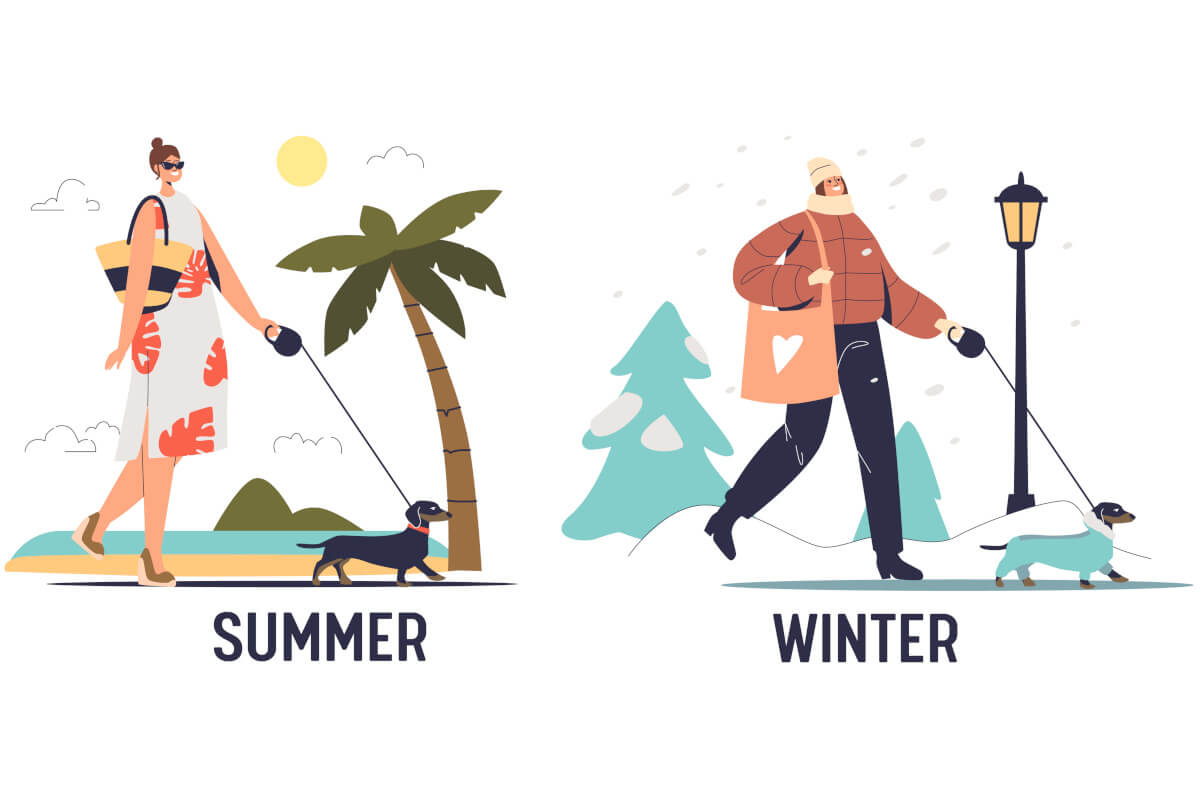 季節に応じた散歩風景