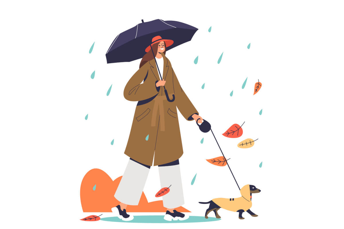 雨の日でも楽しくお散歩